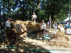 Backtag 06  043